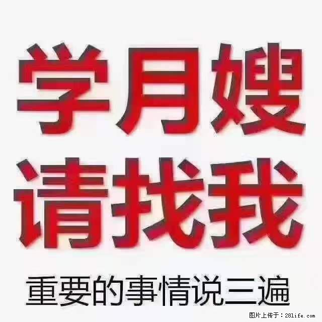 为什么要学习月嫂，育婴师？ - 其他广告 - 广告专区 - 黔东南分类信息 - 黔东南28生活网 qdn.28life.net