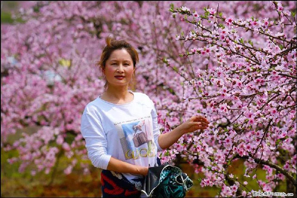 【春天，广西桂林灌阳县向您发出邀请！】官庄村有个醉美的桃花园 - 游山玩水 - 黔东南生活社区 - 黔东南28生活网 qdn.28life.net
