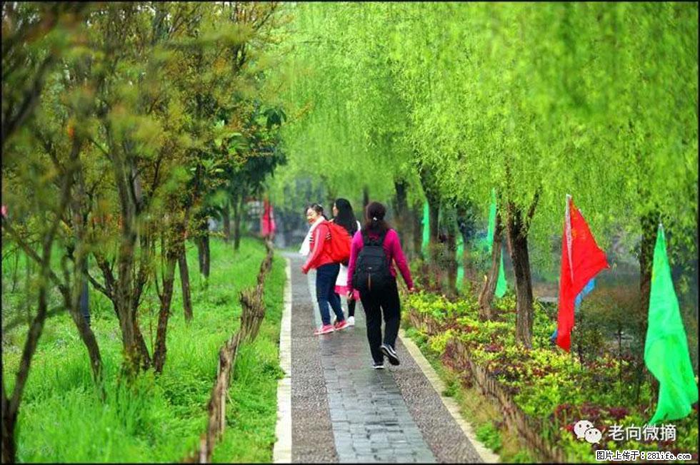 【春天，广西桂林灌阳县向您发出邀请！】江口老街又逢春 - 游山玩水 - 黔东南生活社区 - 黔东南28生活网 qdn.28life.net