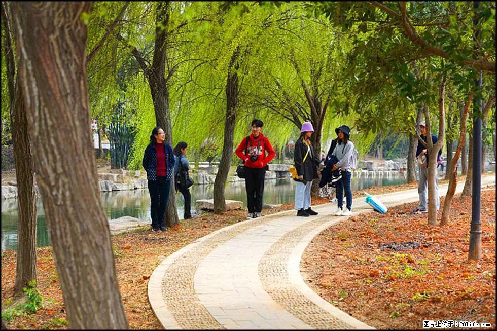 【春天，广西桂林灌阳县向您发出邀请！】江口老街又逢春 - 游山玩水 - 黔东南生活社区 - 黔东南28生活网 qdn.28life.net
