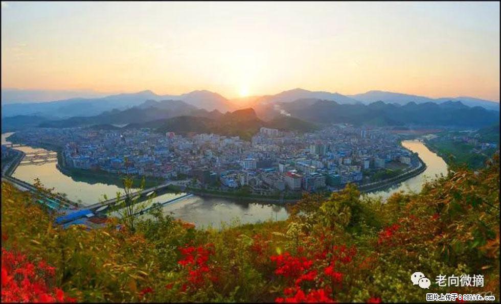 【春天，广西桂林灌阳县向您发出邀请！】登麒麟山，相约映山红 - 游山玩水 - 黔东南生活社区 - 黔东南28生活网 qdn.28life.net