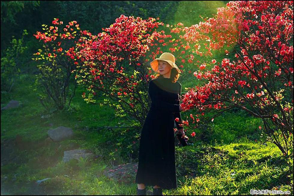 【春天，广西桂林灌阳县向您发出邀请！】春木界上映山红 - 游山玩水 - 黔东南生活社区 - 黔东南28生活网 qdn.28life.net