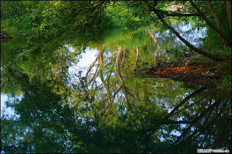【春天，广西桂林灌阳县向您发出邀请！】熊家寨湿地公园 - 游山玩水 - 黔东南生活社区 - 黔东南28生活网 qdn.28life.net