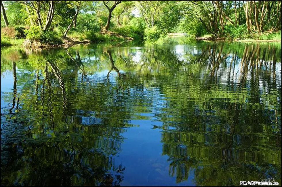 【春天，广西桂林灌阳县向您发出邀请！】熊家寨湿地公园 - 游山玩水 - 黔东南生活社区 - 黔东南28生活网 qdn.28life.net
