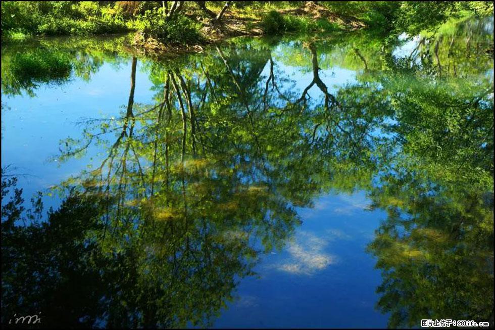 【春天，广西桂林灌阳县向您发出邀请！】熊家寨湿地公园 - 游山玩水 - 黔东南生活社区 - 黔东南28生活网 qdn.28life.net