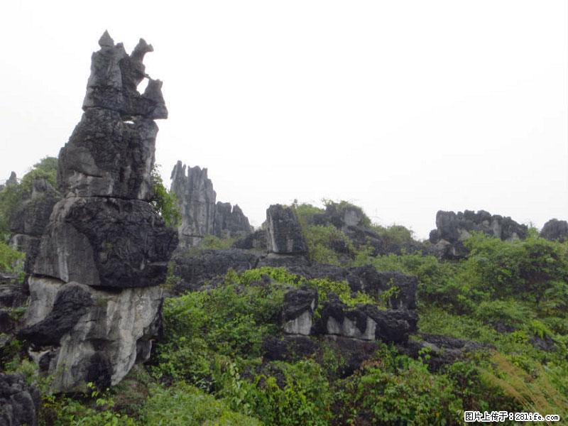 桂林旅游名城景点：灌阳文市石林 - 游山玩水 - 黔东南生活社区 - 黔东南28生活网 qdn.28life.net