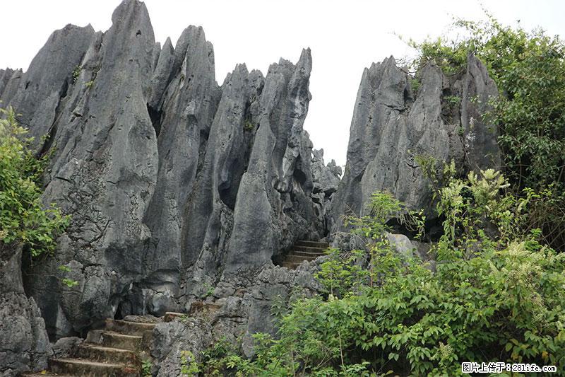 桂林旅游名城景点：灌阳文市石林 - 游山玩水 - 黔东南生活社区 - 黔东南28生活网 qdn.28life.net