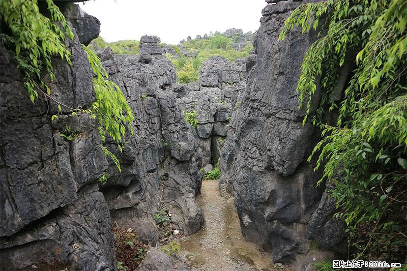 桂林旅游名城景点：灌阳文市石林 - 游山玩水 - 黔东南生活社区 - 黔东南28生活网 qdn.28life.net
