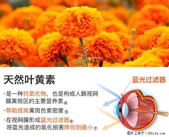 叶黄素有什么功效和作用 - 生活百科 - 黔东南生活社区 - 黔东南28生活网 qdn.28life.net