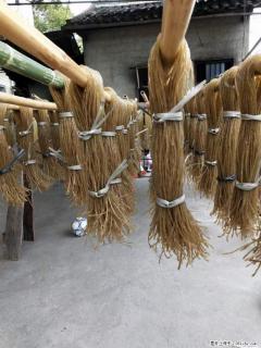 【灌阳正宗红薯粉】美女家里自己做的，干净卫生，假一赔十，价格合理，抢购电话：13737312895 - 黔东南28生活网 qdn.28life.net