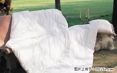 被子有异味？只要这样做，比晒太阳还强100倍！ - 家居生活 - 黔东南生活社区 - 黔东南28生活网 qdn.28life.net