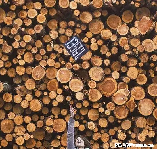 辞掉工作周游世界？现在他们在洗厕所…… - 游山玩水 - 黔东南生活社区 - 黔东南28生活网 qdn.28life.net