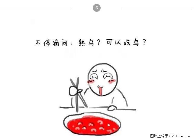 千万不要和这9种哈卵一起吃火锅！ - 美食天地 - 黔东南生活社区 - 黔东南28生活网 qdn.28life.net