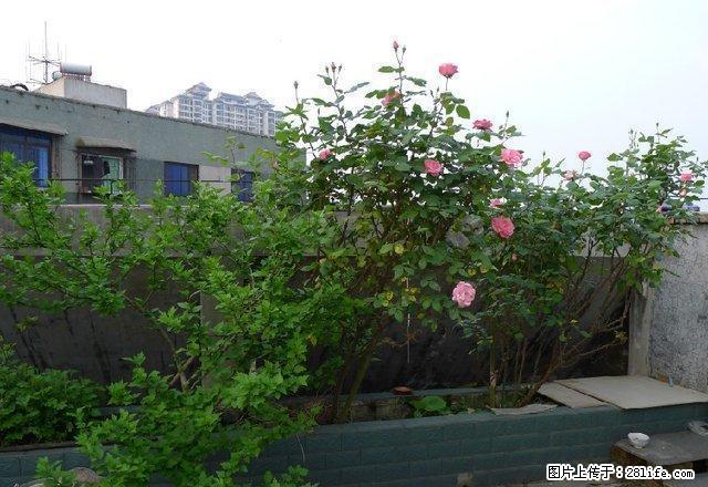 凯里凯里财校 2室1厅52平米 简单装修 面议 - 房屋出租 - 房屋租售 - 黔东南分类信息 - 黔东南28生活网 qdn.28life.net