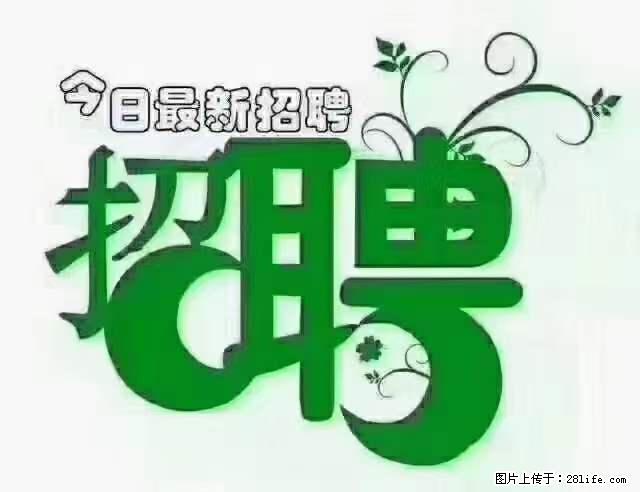 【招聘摄像师】待遇：试用期6000元/月，转正7000元/月+五险一金+餐补+节日福利+奖金 - 职场交流 - 黔东南生活社区 - 黔东南28生活网 qdn.28life.net