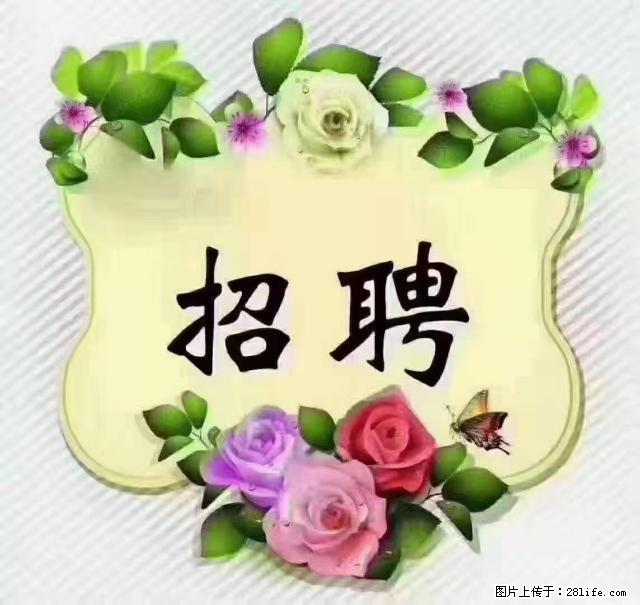 【招聘】住家育儿嫂，上户日期：4月4日，工作地址：上海 黄浦区 - 职场交流 - 黔东南生活社区 - 黔东南28生活网 qdn.28life.net