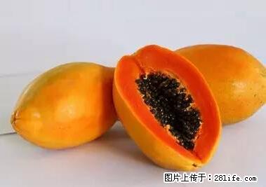 晕车、脚气、牙齿变黄、皮肤粗糙？学会这些三分钟搞定！ - 黔东南生活资讯 - 黔东南28生活网 qdn.28life.net