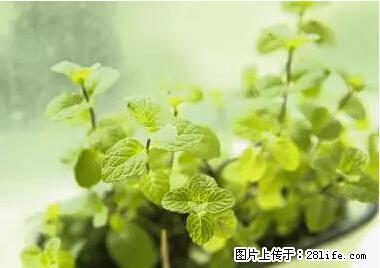 晕车、脚气、牙齿变黄、皮肤粗糙？学会这些三分钟搞定！ - 黔东南生活资讯 - 黔东南28生活网 qdn.28life.net