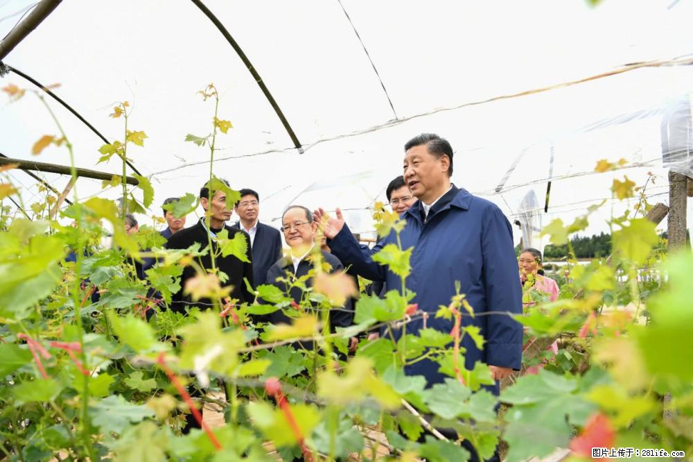 习近平赴广西考察调研 - 黔东南生活资讯 - 黔东南28生活网 qdn.28life.net