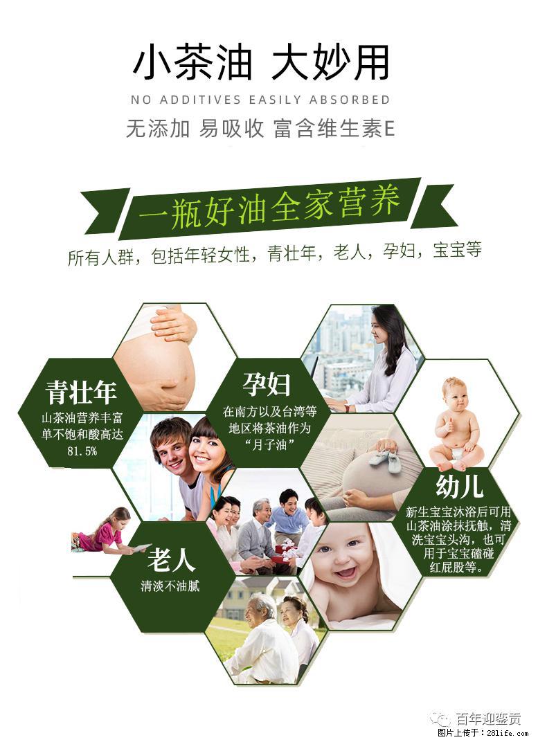 世界没有真相，只有认知，最好的食用油是中国的山茶油！ - 黔东南生活资讯 - 黔东南28生活网 qdn.28life.net