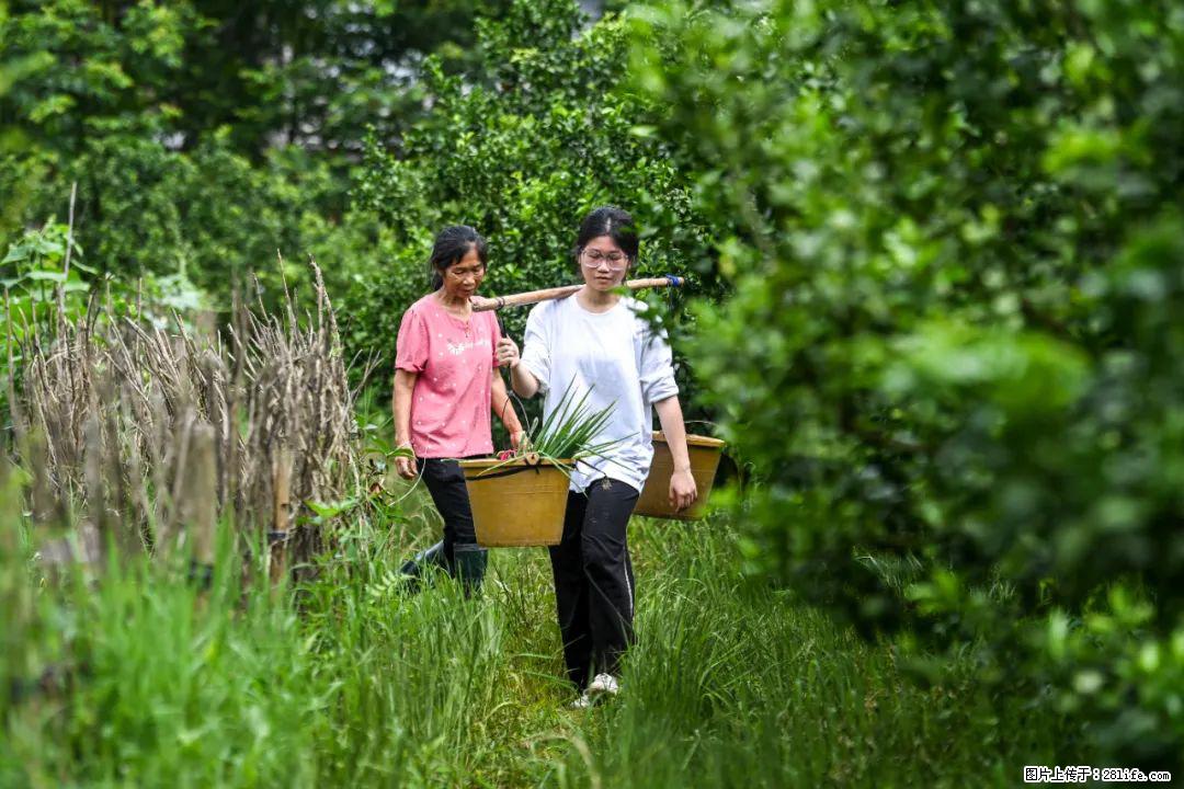 全网追的“扁担女孩”，找了一份暑假工，时薪12元 - 黔东南生活资讯 - 黔东南28生活网 qdn.28life.net