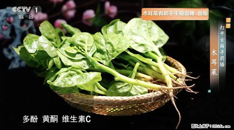 比牛奶补钙还厉害!凉血解毒、稳血糖...这菜冬天必吃,很多人却当草 - 黔东南生活资讯 - 黔东南28生活网 qdn.28life.net